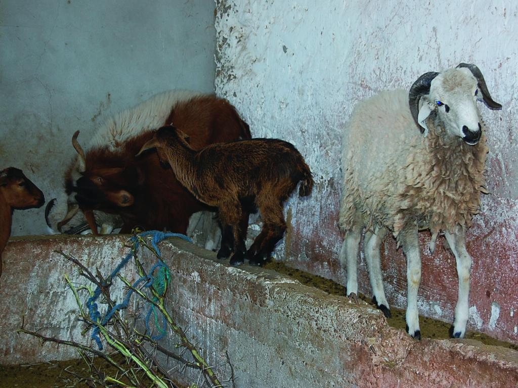 Gite Souss Oulad Teïma Eksteriør bilde